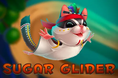 Sugar Glider
